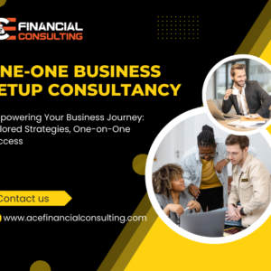 One-One Business Setup Consultancy Ace Financial Consulting Services